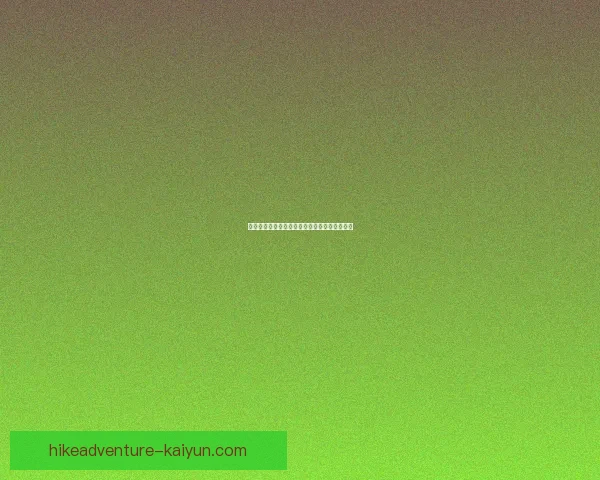 马德里竞技迎来新赛季，球队阵容升级备受期待